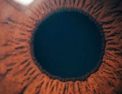 PanOptix Pro vs PanOptix: Which Trifocal Lens Is Right For You?