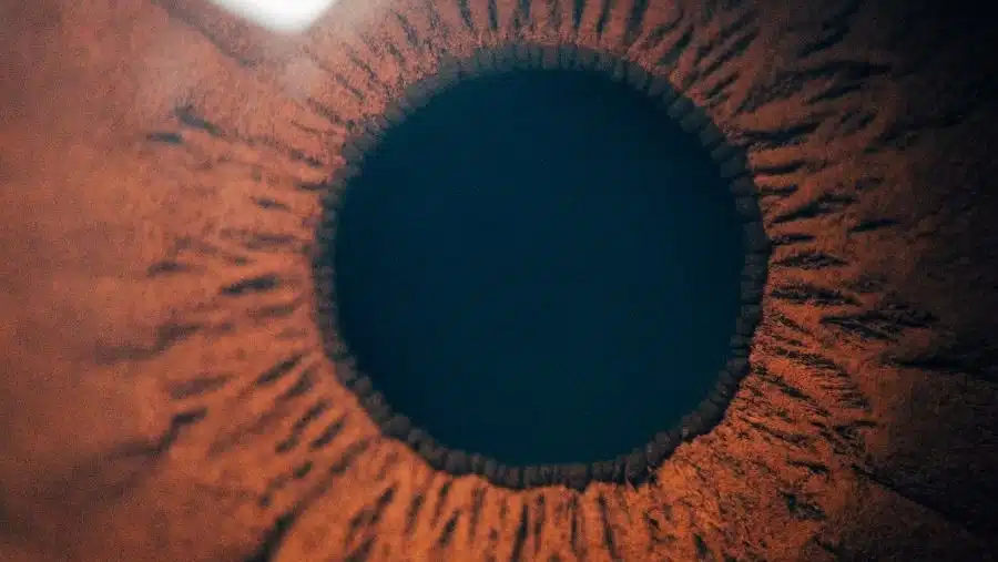 PanOptix Pro vs PanOptix: Which Trifocal Lens Is Right For You?