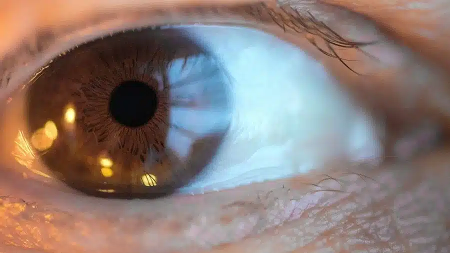 enVista Envy Lens Implant Review: Bausch + Lomb’s Next-Generation Multifocal Cataract Lens