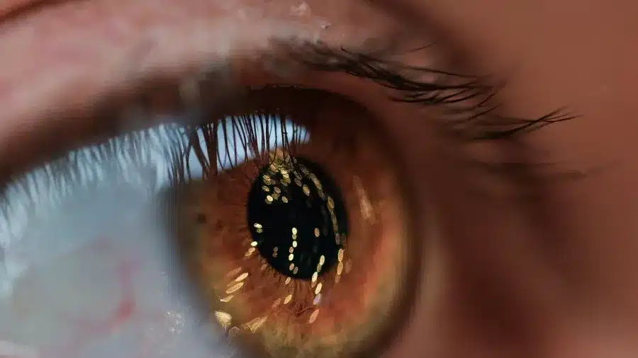 PanOptix Pro vs Envy: Comparing Two Advanced Multifocal Lens Implants